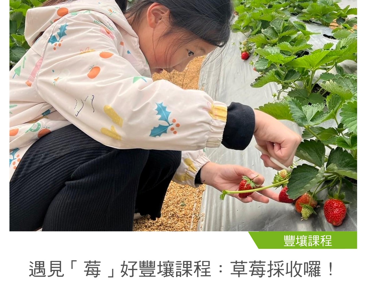 豐壤課程02